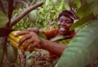 100% duurzaam ingekochte cacao | Nestlé Cocoa Plan
